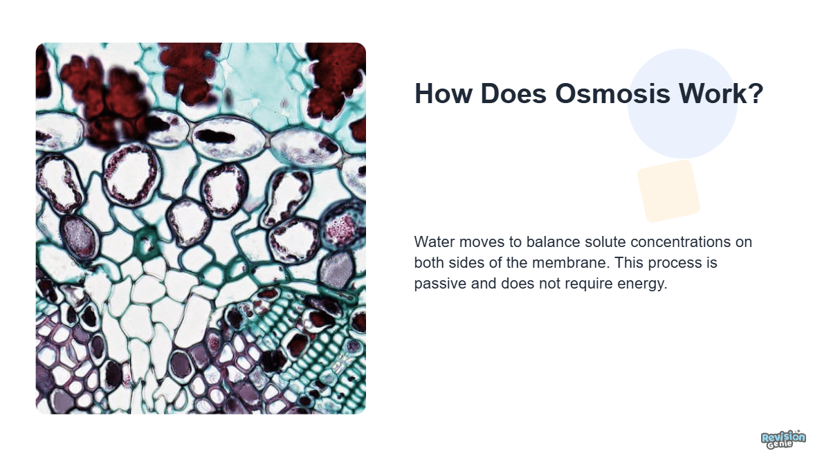 Title slide with learning objectives